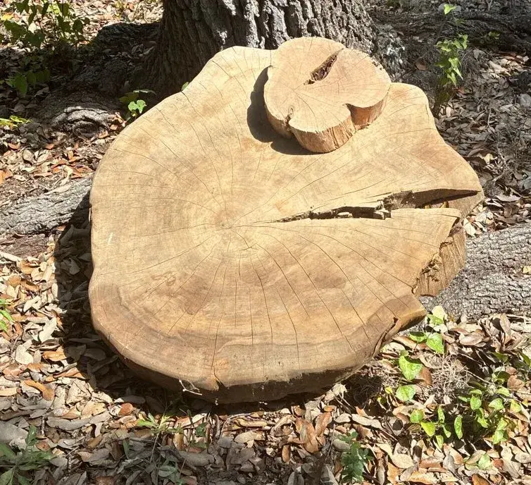 Beautiful Large And Small Cut Wood Slabs