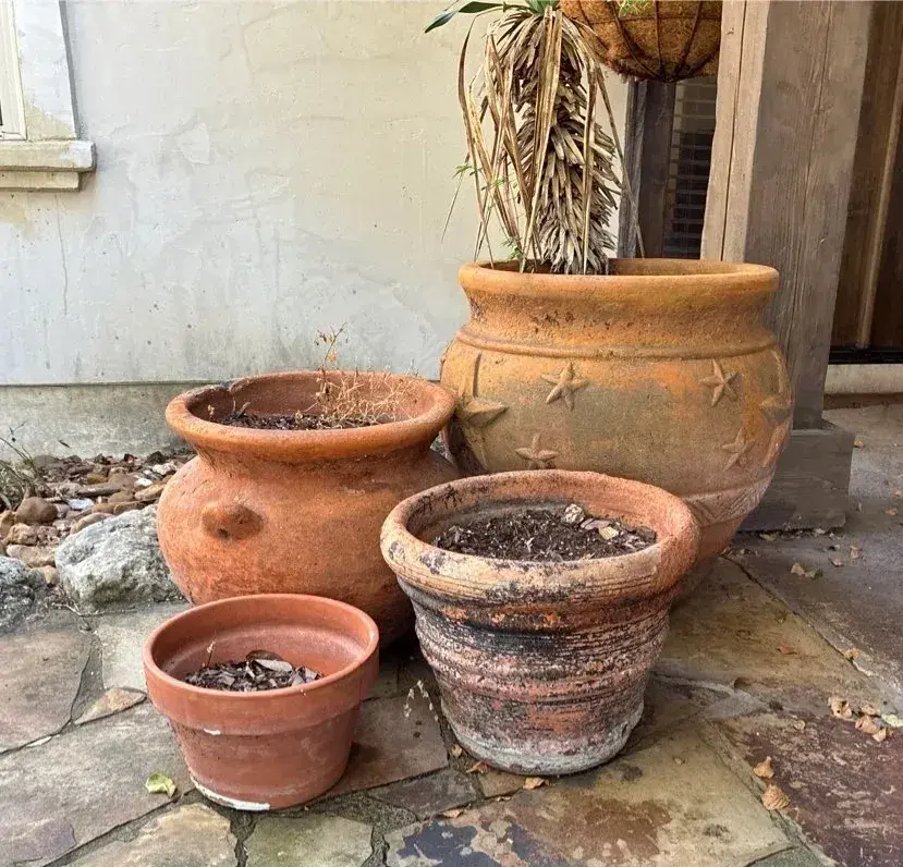 Terracotta Flower  Planters- Set Of 4