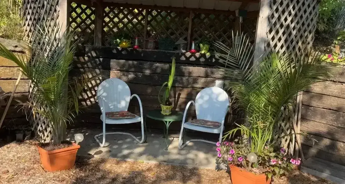 Plant Yourself In A Patio Chair, And Enjoy The Plants!