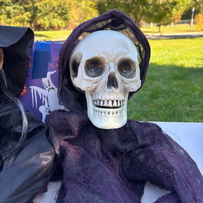 LOT 59: Halloween Inflatable Outdoor Lawn Decorations, Battery Operated Hanging Witch & Skelton