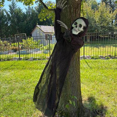 LOT 59: Halloween Inflatable Outdoor Lawn Decorations, Battery Operated Hanging Witch & Skelton
