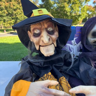 LOT 59: Halloween Inflatable Outdoor Lawn Decorations, Battery Operated Hanging Witch & Skelton