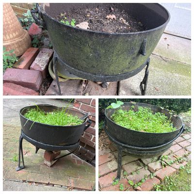 Three Large Antique Cast Iron Cauldrons Each With a Stand