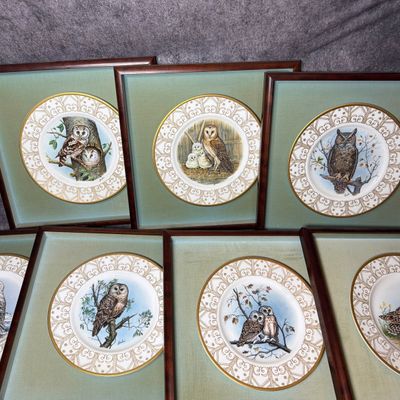 A Collection of Seven Framed Boehm Limited Edition Bone Porcelain Owl Plates