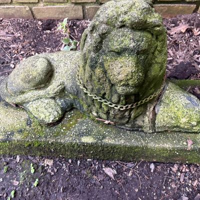 Cast Stone Garden Statue of a Recumbent Lion with Metal Chain Detail
