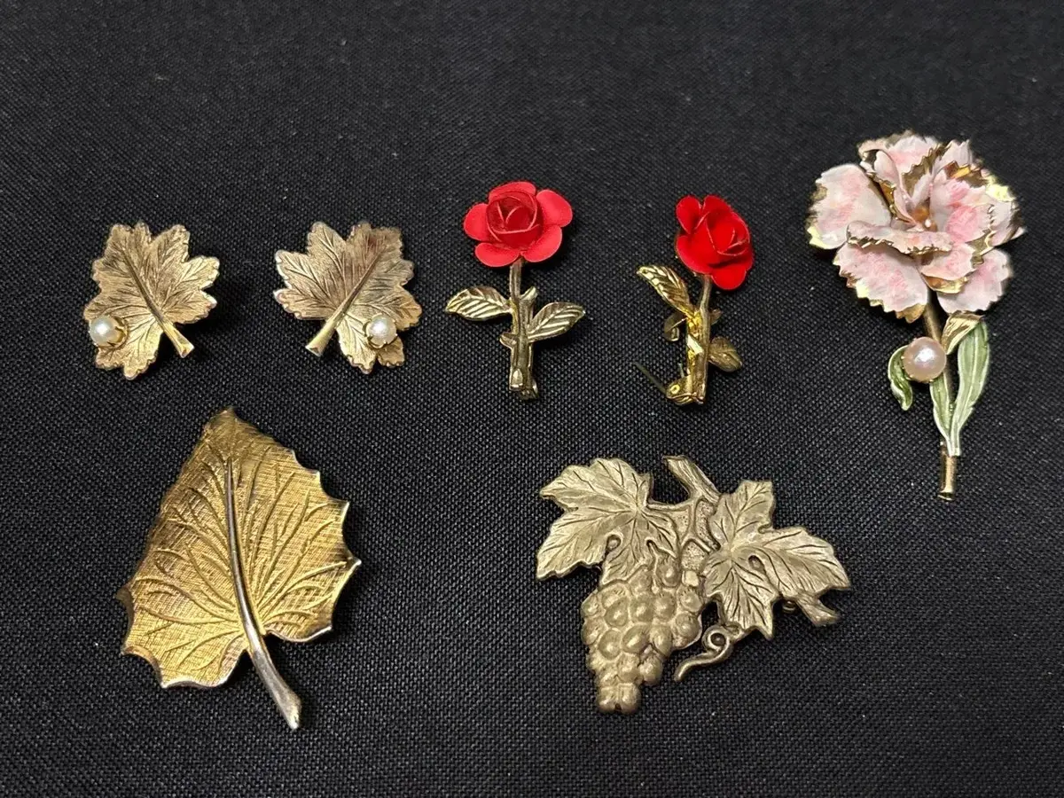 VTG Jewelry- Sarah Coventry Leaf Clip-On Earrings + 5 Brooch Pins, Red Roses, Grapes, Pink Carnation