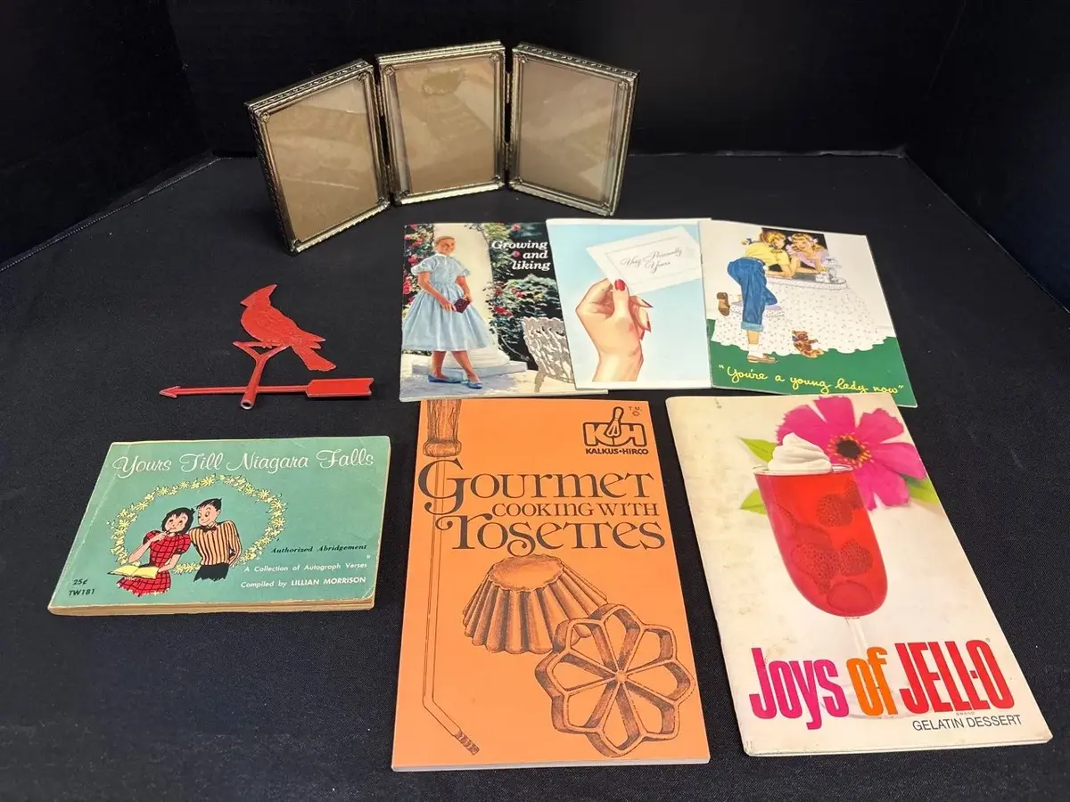 VTG Collectibles - Photo Frame, Kotex Puberty Booklets, Jell-O & Rosettes Cookbook, Niagara Falls