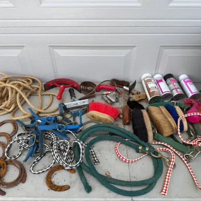 Sale Photo Thumbnail #1010