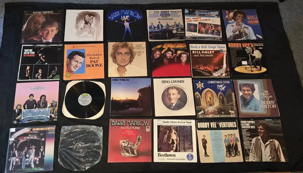 Vintage 24pc Vinyl Record Lot - 50s-70s Pop, Rock & Roll, Surf & Crooners