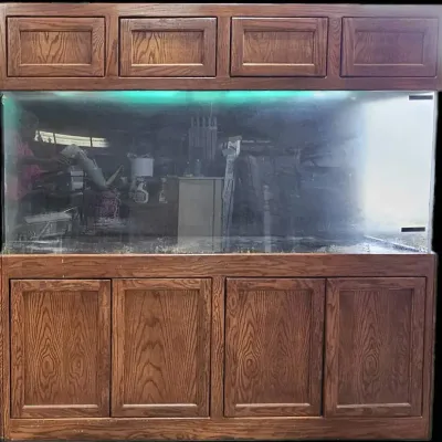 180-Gallon Clarity Plus Acrylic Aquarium w/ Solid Oak Stand & Canopy (72x24x30)