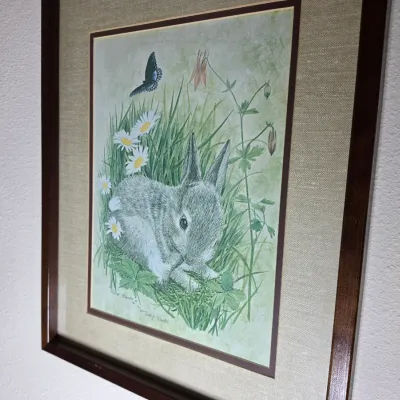Framed art print depicting a rabbit in a grassy field with daisies and a butterfly, signed by the artist and presented in a dark wood...