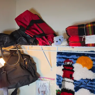 Assorted closet items including a red and black plaid throw blanket, a small plush dog, a red duffel bag, black travel bags, and a...
