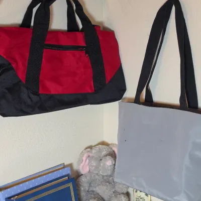 Red and black nylon duffel bag and a grey tote bag hanging on a wall, with a plush elephant toy and binders below.
