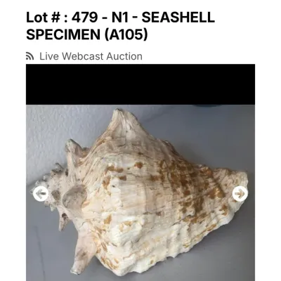 Sale Photo Thumbnail #58