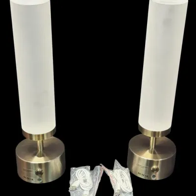 Pair of modern cordless LED table lamps with frosted glass cylinder shades, brushed metal bases, and included USB charging cables.