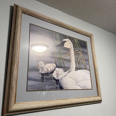 Sale Photo Thumbnail #39