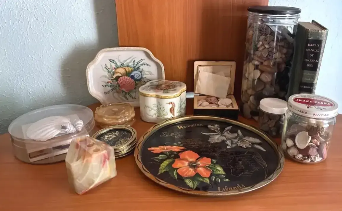 Mystery Lot Of Rocks Sea Shells And More 