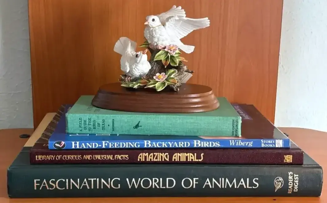Porcelain Birds By Lefton And Book Assortment 