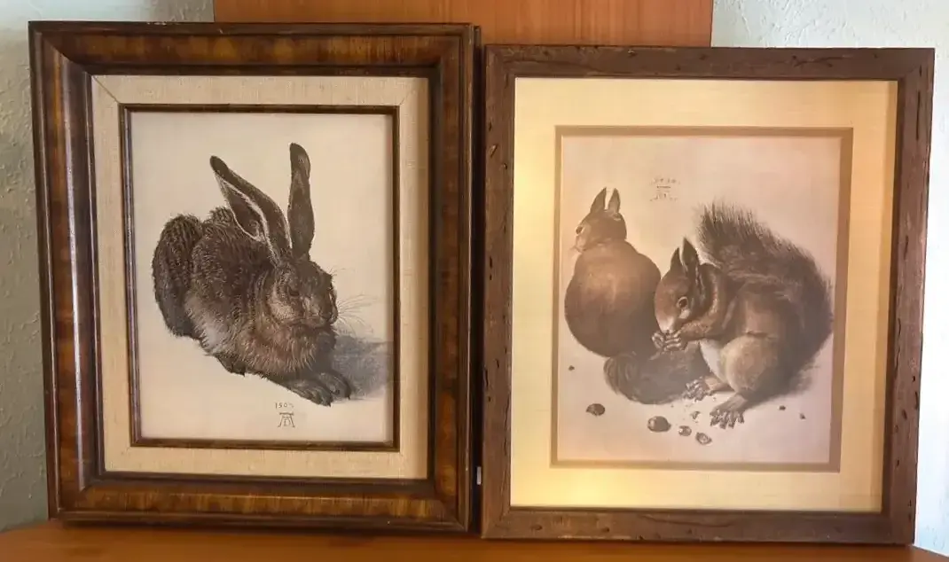 2 Framed Reproductions Of Albrecht Dürer's Watercolors 