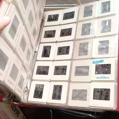 Sale Photo Thumbnail #170