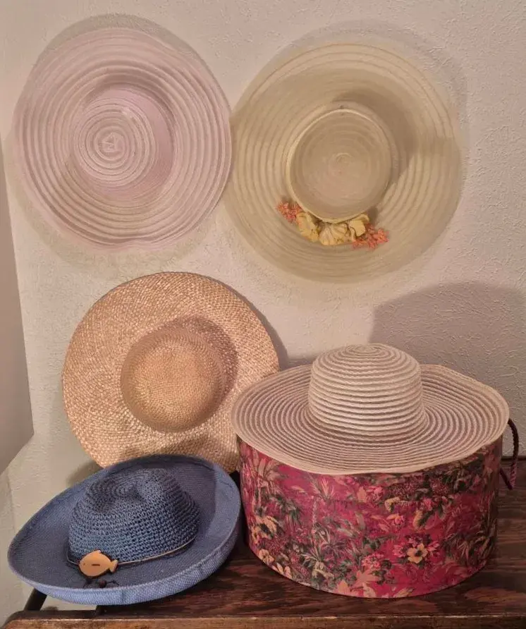 Wide-Brimmed Cream Off-White Sheer Dress Hats & Straw Hats Assortment 