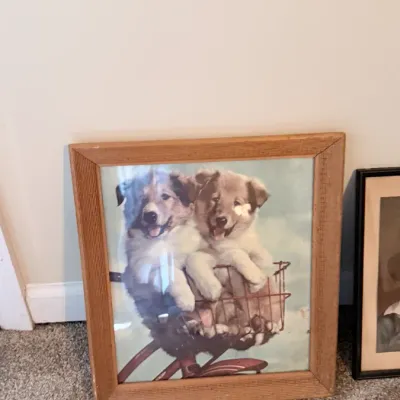 Sale Photo Thumbnail #455