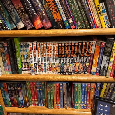 Incredible book collections throughout the home 