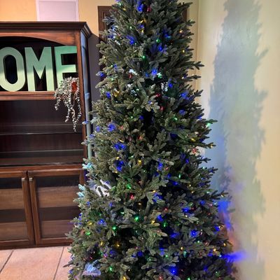 Incredible Christmas tree 