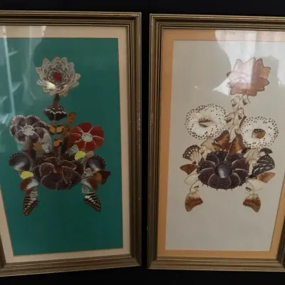 LCJ057 - Vintage Framed, Butterfly Wing Floral Art (2)
