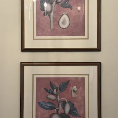 Sale Photo Thumbnail #116: Pair of framed botanical art prints featuring stylized fruit illustrations on a textured pink background, presented in matching wooden frames with double matting.