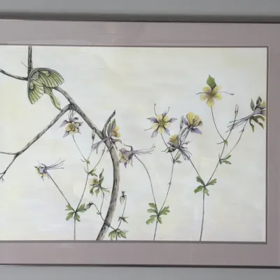 Sale Photo Thumbnail #110: Framed botanical watercolor painting depicting columbine flowers and a luna moth, presented in a simple metal frame with a wide mat.