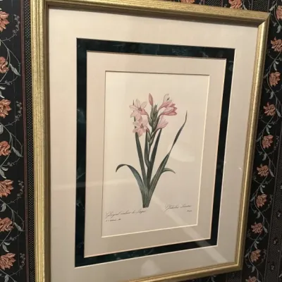 Sale Photo Thumbnail #113: Framed botanical print of a Gladiolus Lineatus after Pierre-Joseph Redouté, featuring a multi-layered mat with a dark green marbled accent and a textured gold-finished frame.