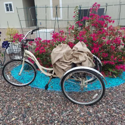 Vintage-style white adult tricycle featuring a front wire basket and a large rear cargo basket covered with a tan tarp.