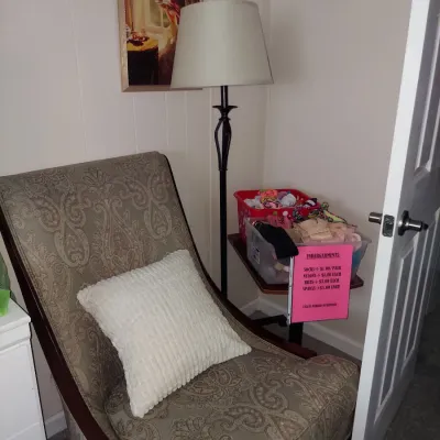 Traditional paisley upholstered armchair with a white textured throw pillow, paired with a black metal floor lamp and a small side table...