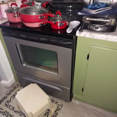 Modern stainless steel electric range with a black glass cooktop, shown with various red and pink cookware, a black roasting pan, and a...