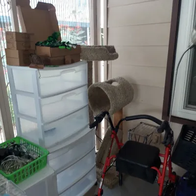 Red four-wheeled rolling walker with a padded seat, shown alongside a tall plastic storage drawer unit and a carpeted cat tree.