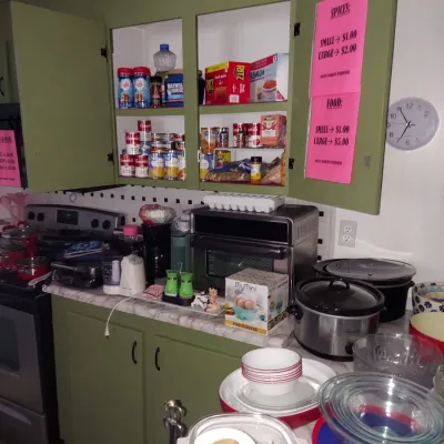 Assorted kitchenware, small appliances, and pantry items displayed on countertops and inside green cabinets for sale.