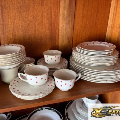 Lido by W. S. George Red Floral Dinnerware