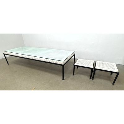 Danny Ho Fong Low Table and 2 Benches. Glass top.