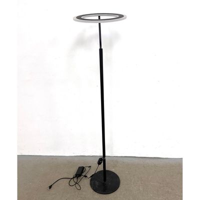 Modern Black Finish Metal, Acrylic Halo Floor Lamp. LED. Contemporary.