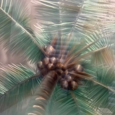 Greg Helmick metal etched art palm tree