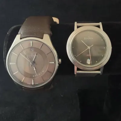 Skagen Wristwatches 