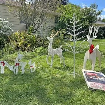Outdoor christmas display collection