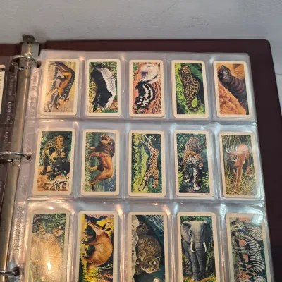 Sale Photo Thumbnail #225