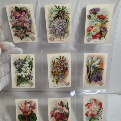 Sale Photo Thumbnail #38