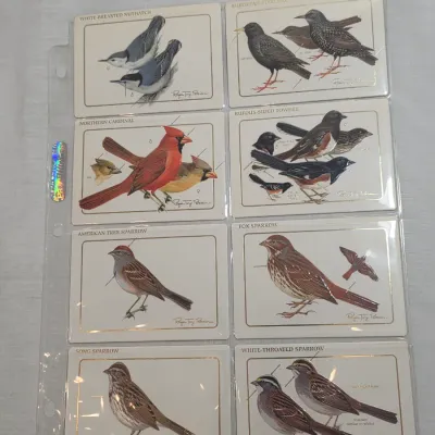 Sale Photo Thumbnail #5: Set of eight vintage Roger Tory Peterson bird illustration collector cards housed in a protective plastic sleeve, featuring species like the Northern Cardinal and American Tree Sparrow.