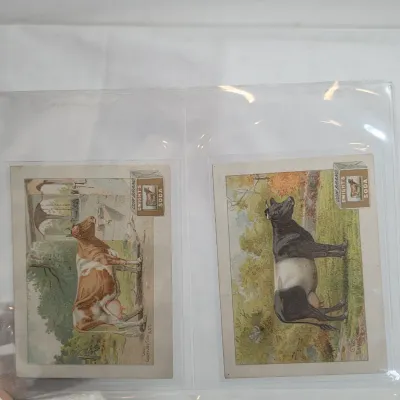 Sale Photo Thumbnail #43