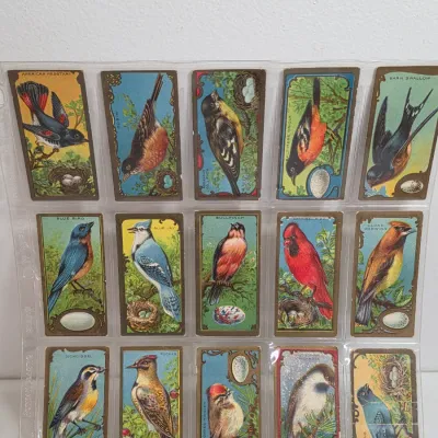 Sale Photo Thumbnail #3: Collection of fifteen vintage Arm & Hammer bird trading cards, displayed in a clear plastic protective sleeve.