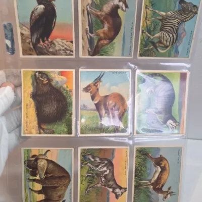 Sale Photo Thumbnail #100
