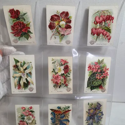 Sale Photo Thumbnail #39